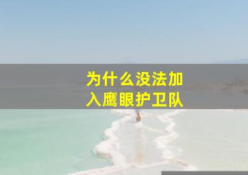 为什么没法加入鹰眼护卫队