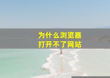 为什么浏览器打开不了网站