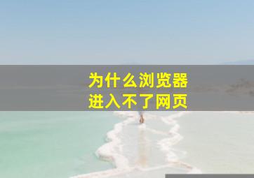 为什么浏览器进入不了网页