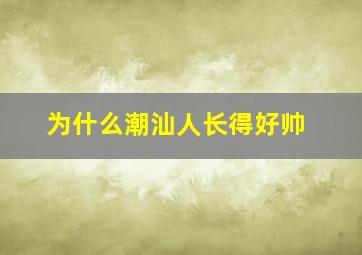 为什么潮汕人长得好帅