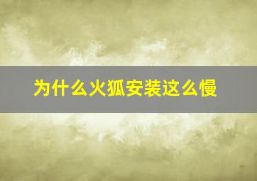 为什么火狐安装这么慢