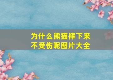 为什么熊猫摔下来不受伤呢图片大全