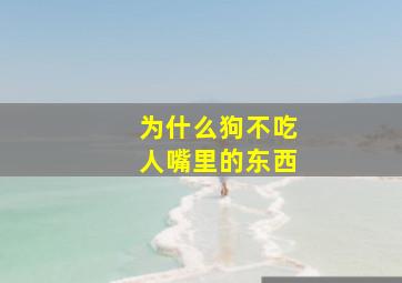 为什么狗不吃人嘴里的东西