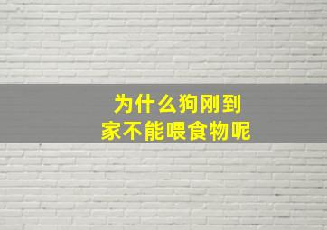 为什么狗刚到家不能喂食物呢