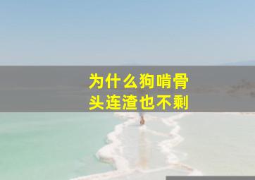 为什么狗啃骨头连渣也不剩