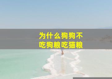 为什么狗狗不吃狗粮吃猫粮