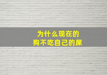 为什么现在的狗不吃自己的屎