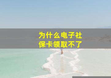 为什么电子社保卡领取不了