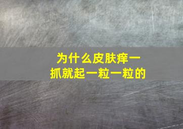 为什么皮肤痒一抓就起一粒一粒的