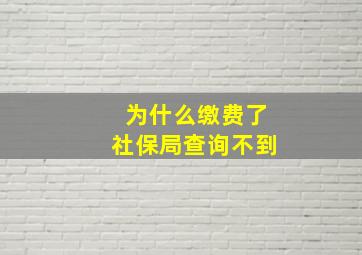 为什么缴费了社保局查询不到