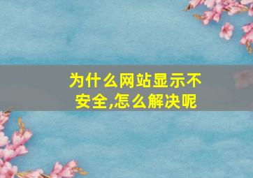 为什么网站显示不安全,怎么解决呢