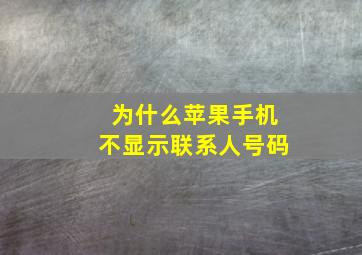 为什么苹果手机不显示联系人号码