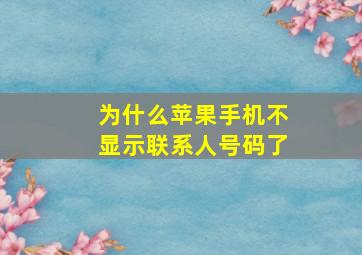 为什么苹果手机不显示联系人号码了