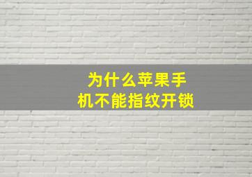 为什么苹果手机不能指纹开锁