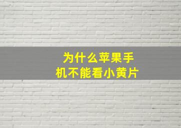 为什么苹果手机不能看小黄片