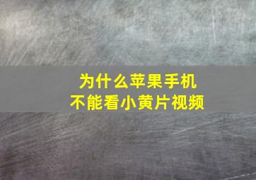 为什么苹果手机不能看小黄片视频