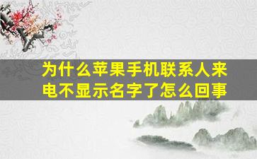 为什么苹果手机联系人来电不显示名字了怎么回事