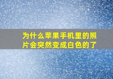 为什么苹果手机里的照片会突然变成白色的了