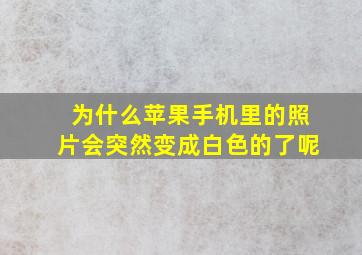 为什么苹果手机里的照片会突然变成白色的了呢