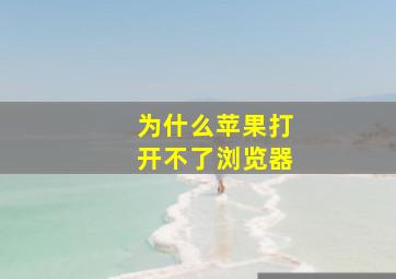 为什么苹果打开不了浏览器