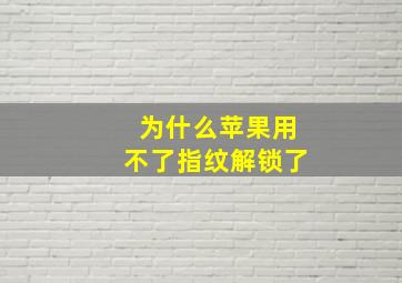 为什么苹果用不了指纹解锁了