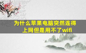 为什么苹果电脑突然连得上网但是用不了wifi