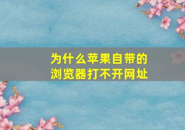 为什么苹果自带的浏览器打不开网址