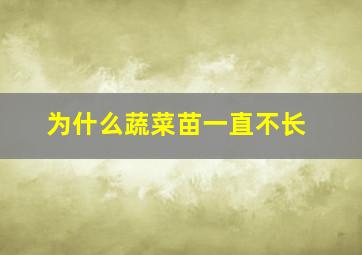 为什么蔬菜苗一直不长