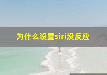 为什么设置siri没反应