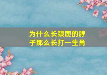 为什么长颈鹿的脖子那么长打一生肖