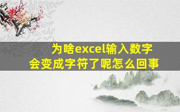 为啥excel输入数字会变成字符了呢怎么回事