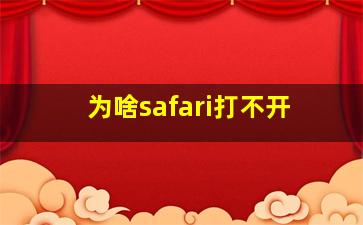 为啥safari打不开