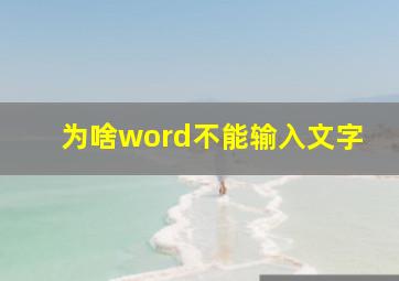 为啥word不能输入文字