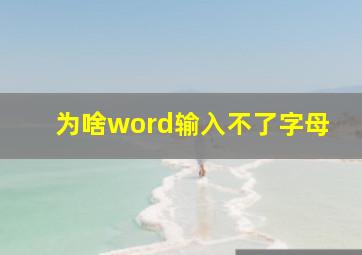 为啥word输入不了字母