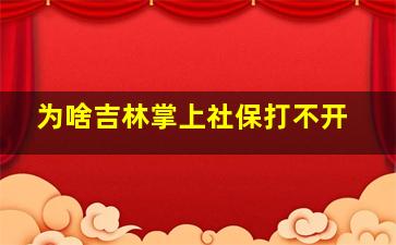 为啥吉林掌上社保打不开