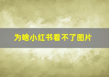 为啥小红书看不了图片