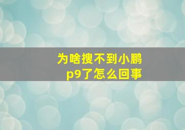 为啥搜不到小鹏p9了怎么回事