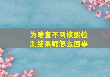 为啥查不到核酸检测结果呢怎么回事