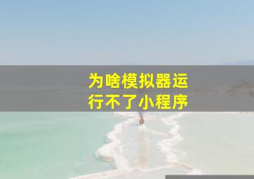 为啥模拟器运行不了小程序