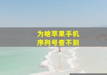 为啥苹果手机序列号查不到