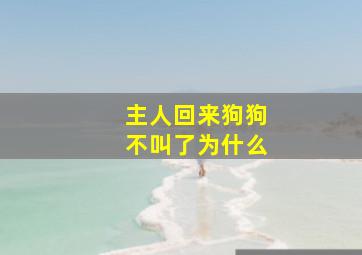 主人回来狗狗不叫了为什么