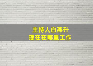 主持人白燕升现在在哪里工作