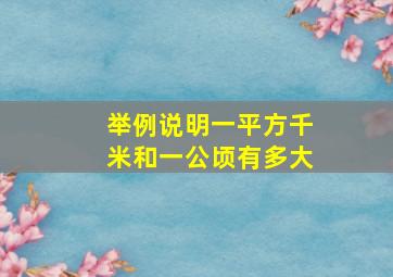 举例说明一平方千米和一公顷有多大