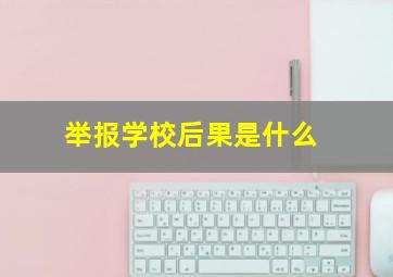 举报学校后果是什么