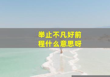 举止不凡好前程什么意思呀