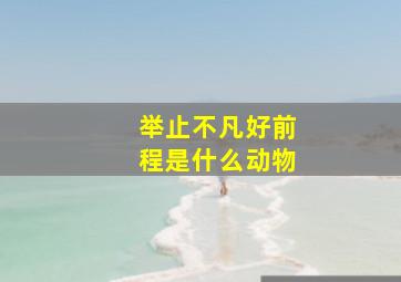 举止不凡好前程是什么动物