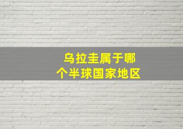 乌拉圭属于哪个半球国家地区