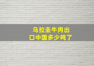 乌拉圭牛肉出口中国多少吨了