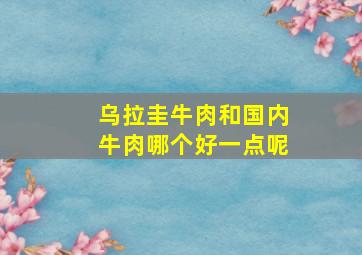 乌拉圭牛肉和国内牛肉哪个好一点呢