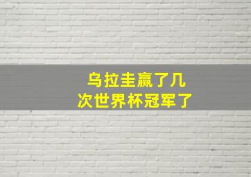 乌拉圭赢了几次世界杯冠军了